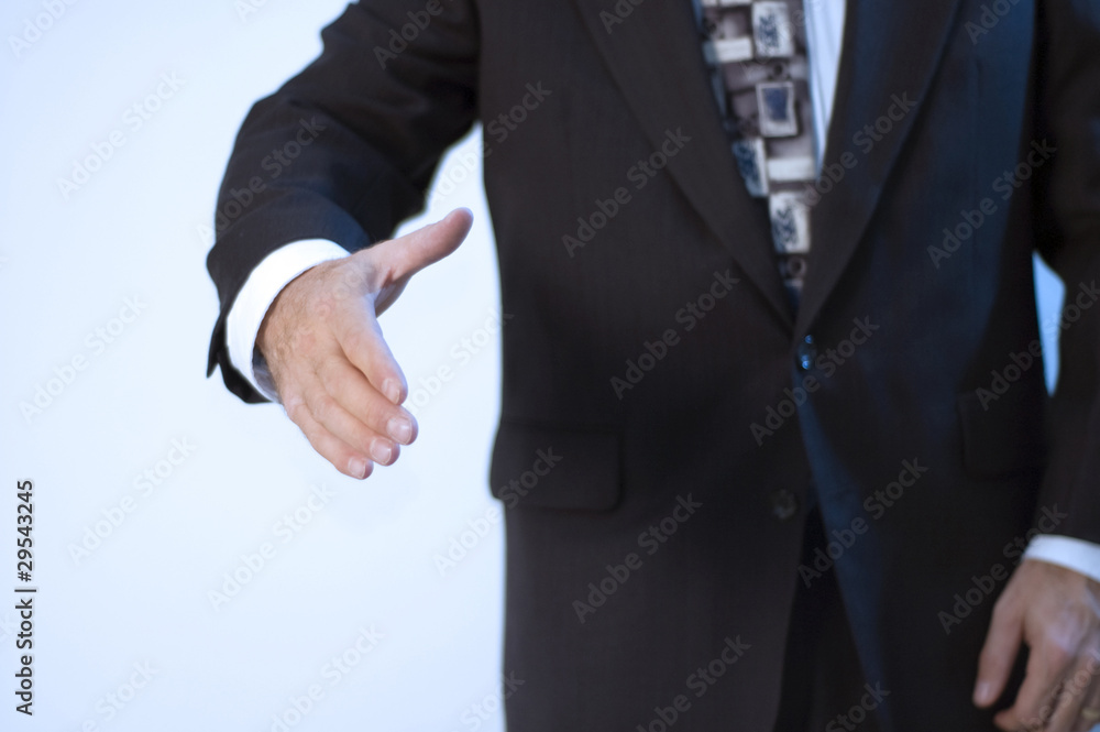 The shake The shake