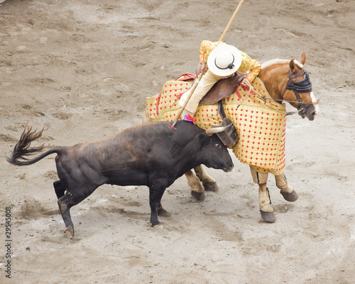 bull and bullfighter picador