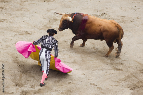 bull and bullfighter