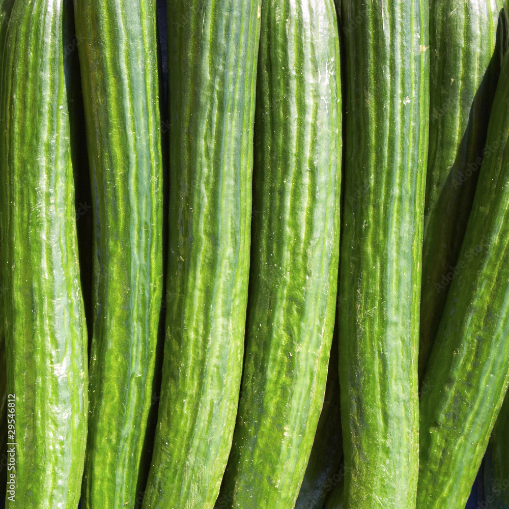 fresh green cucumbers closeup, background fresh green cucumbers closeup, background