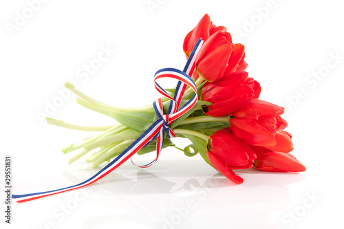 Fototapeta Naklejka Na Ścianę i Meble -  bouquet of red tulips with ribbon over white background