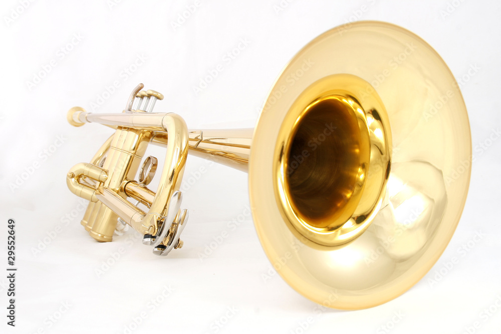 Fototapeta premium golden trumpet
