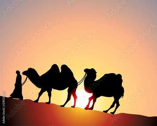 vector camels and bedouin