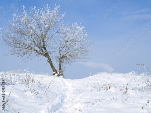Winter landscape © mtrlin