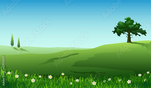 Spring. Summer.Rural landscape, nature background