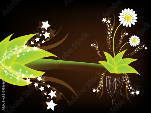 Dark flower background with stars