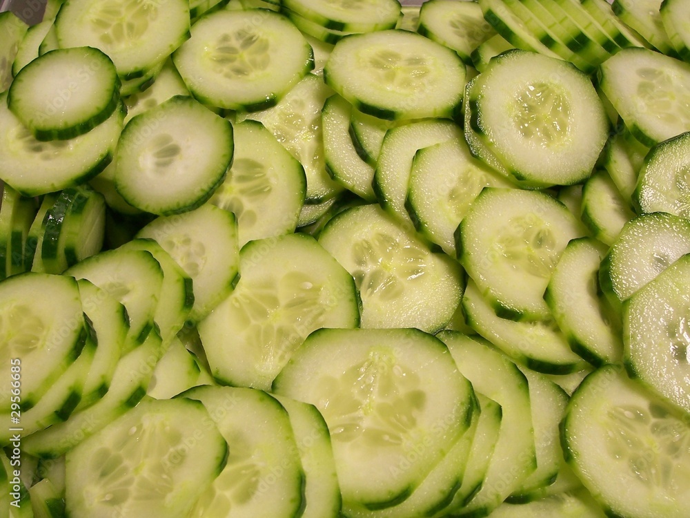 salatgurke salatgurke