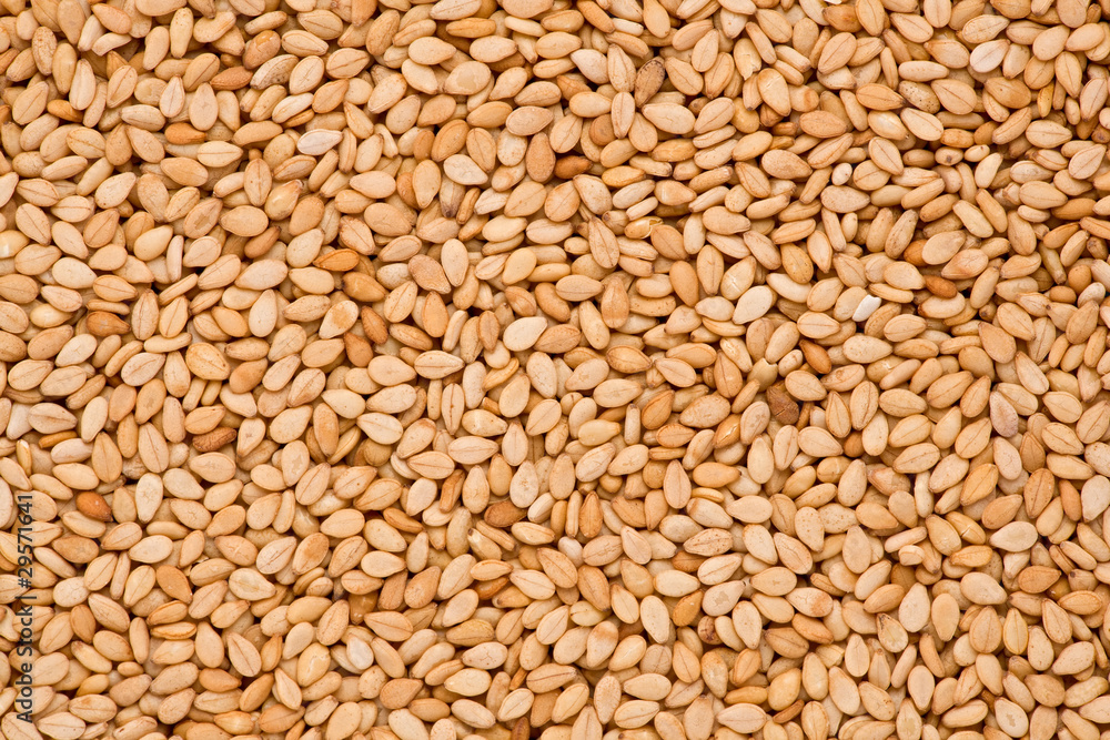 Sesame Seeds (Sesamum indicum) Stock Photo | Adobe Stock