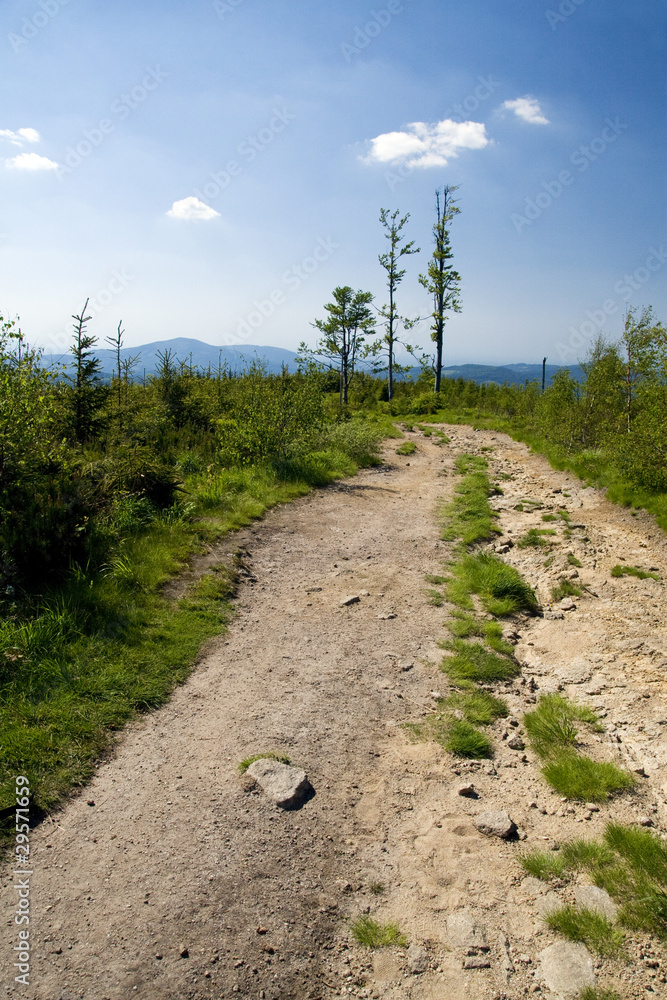 Szlak turystyczny w polskich górach Beskidach Stock Photo | Adobe Stock