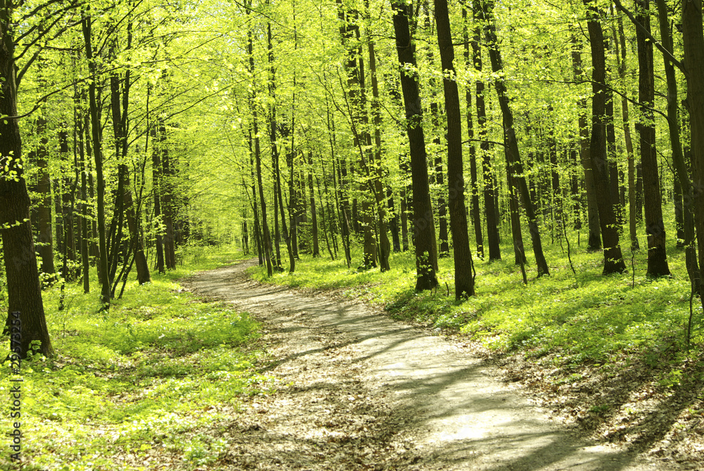 nature nature