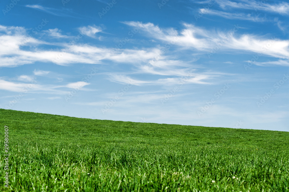 Green field Green field