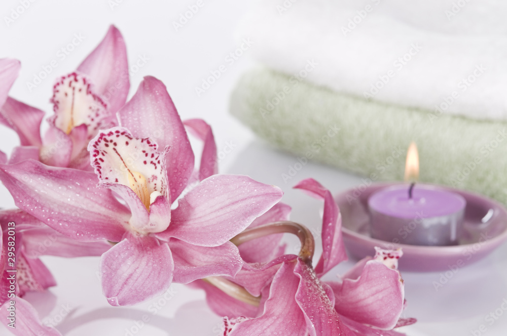 Spa concept still life with orchid