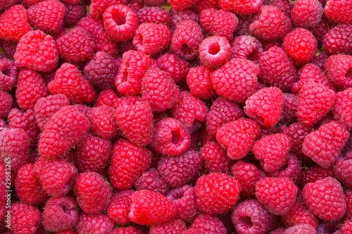 Delicious first class fresh raspberries