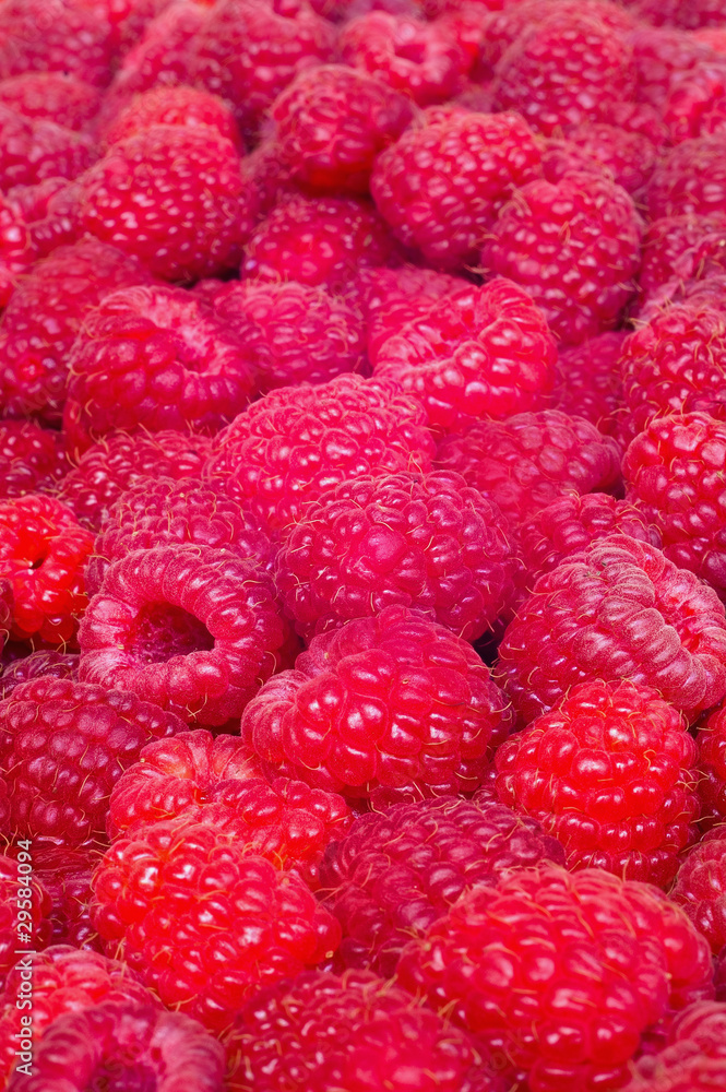 Delicious first class fresh raspberries Delicious first class fresh raspberries