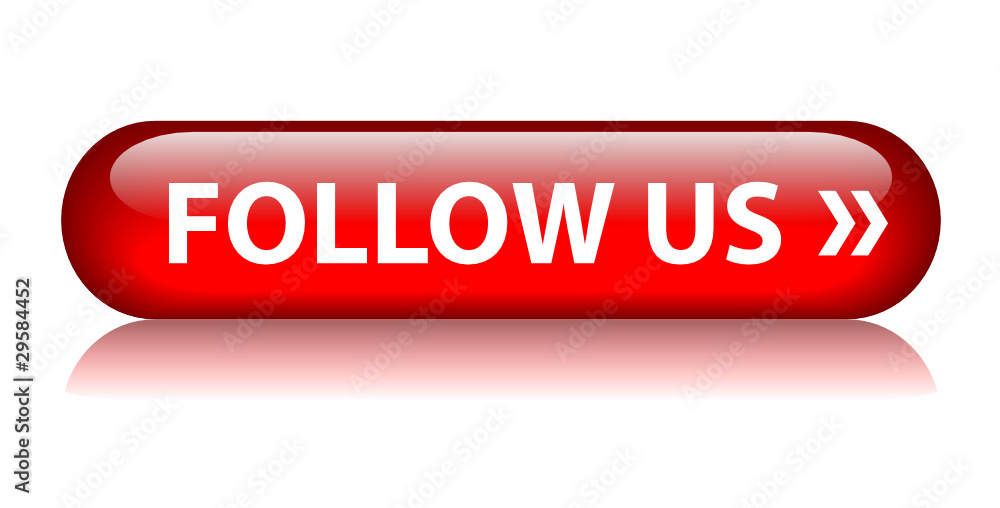 FOLLOW US Web Button (newsletter social networking become a fan)
