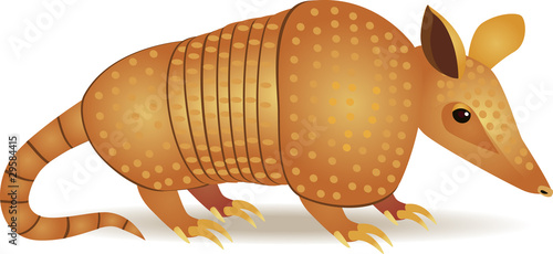 Armadillo
