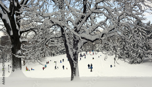 Cedar Hill after snow storm