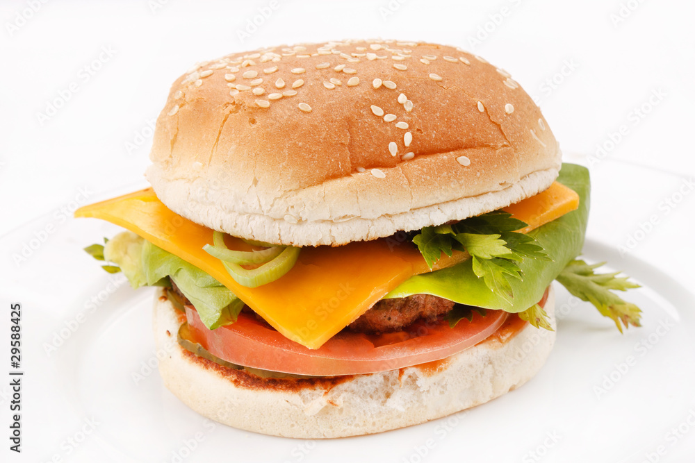 cheeseburger on the plate cheeseburger on the plate