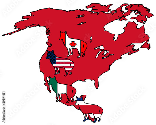 Kojote Amerika