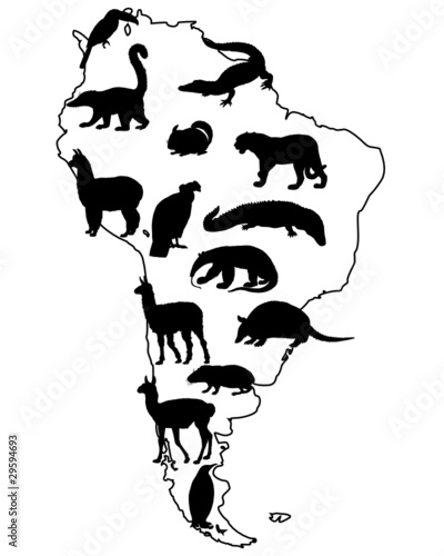 Tiere Südamerika