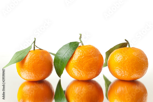 Three Tangerines Closeup