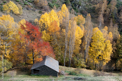 Cabaña en el Pirineo de Lérida