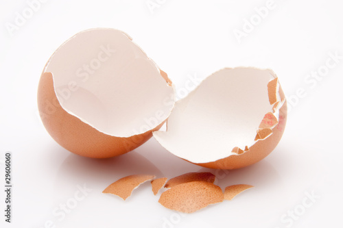 Eierschale vor weissem Hintergrund