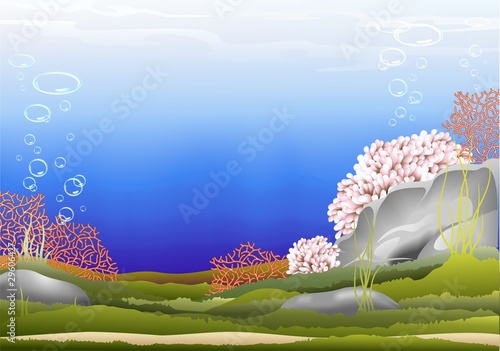 Fondale Marino-Acquario-Underwater Background-Vector