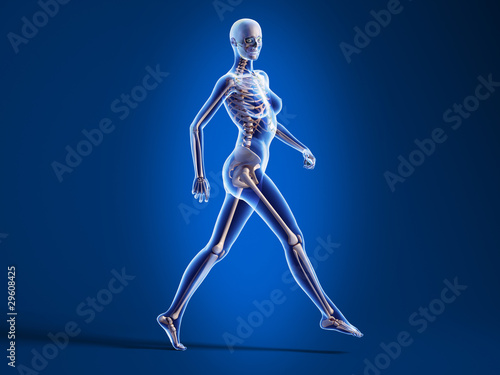 Anatomy walking woman with skeleton X-ray.