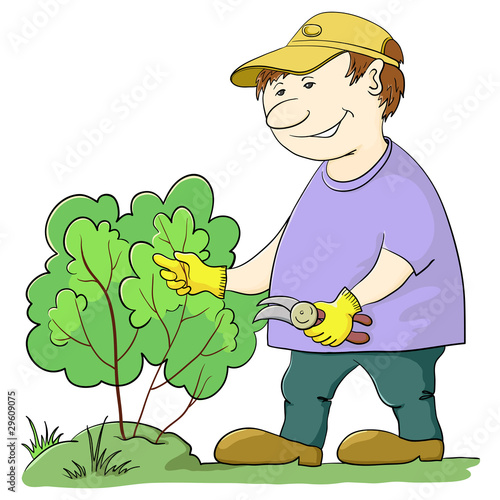 Gardener cuts a bush