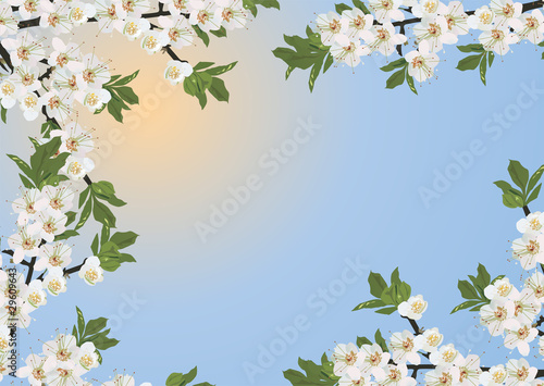 sakura floral frame