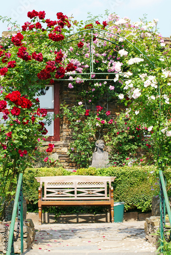Fototapeta Naklejka Na Ścianę i Meble -  Rosengarten im Sommer - Rose Garden Summer