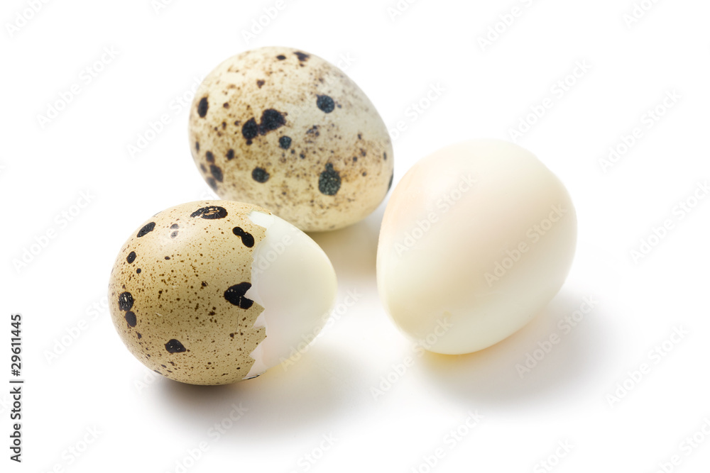 boiled quail eggs boiled quail eggs