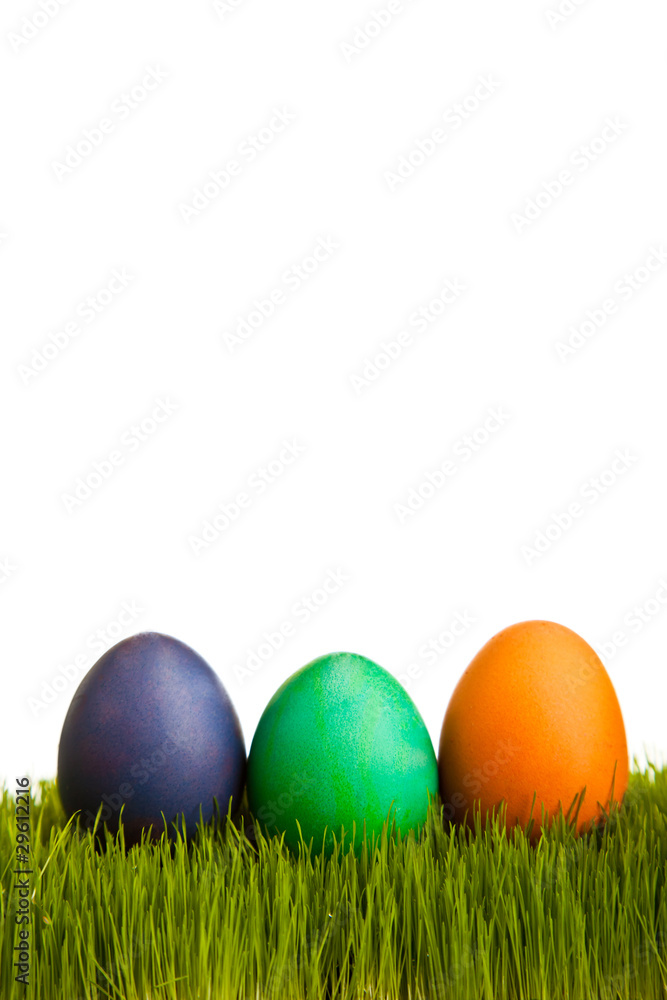Easter eggs on green grass on white isolated backgr