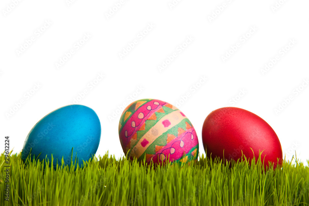 Easter eggs on green grass on white isolated backgr Easter eggs on green grass on white isolated backgr