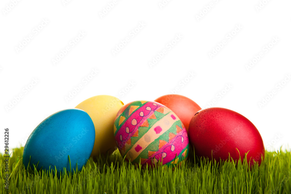 Easter eggs on green grass on white isolated backgr