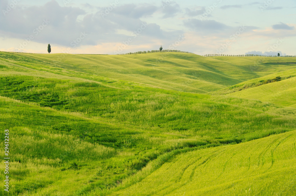 Toskana Huegel  - Tuscany hills 46