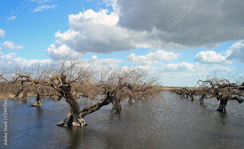 Alluvione photo