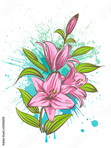 Fototapeta Naklejka Na Ścianę i Meble -  Lily