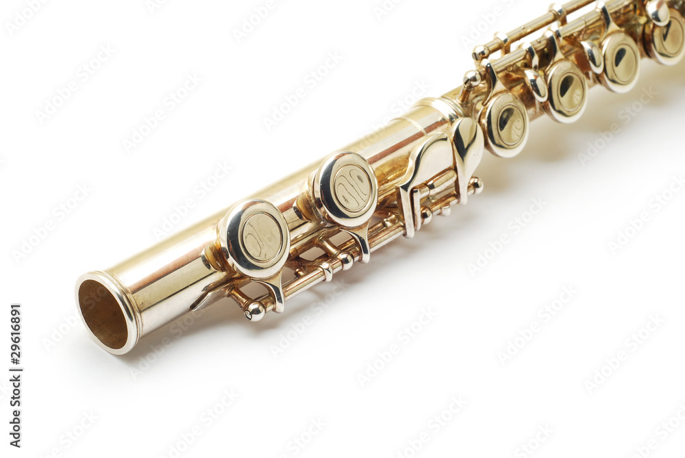 Fototapeta premium flute detail