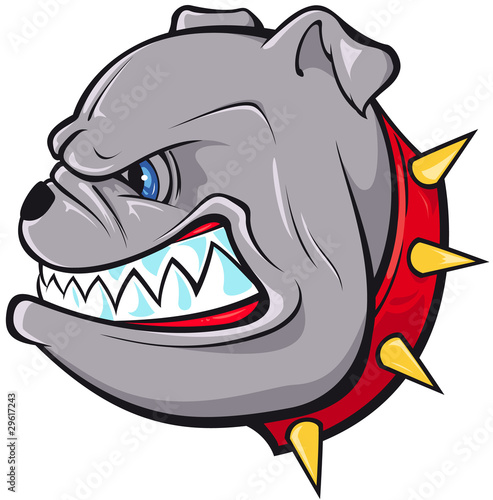 Bulldog Head
