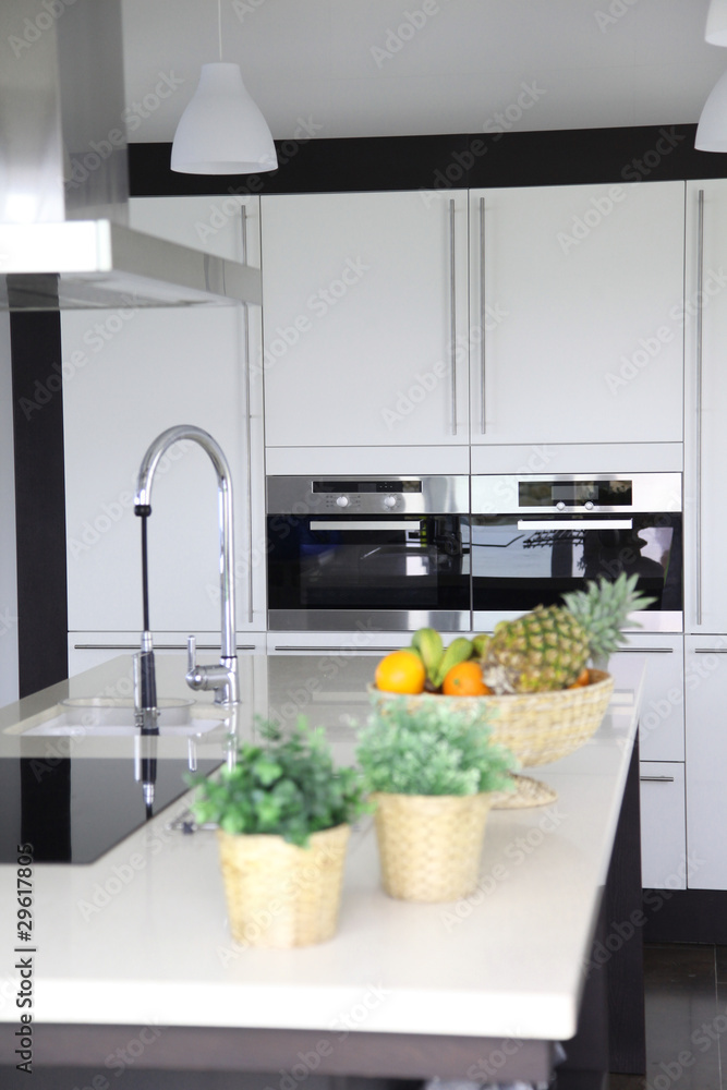 General view of contemporary home kitchen General view of contemporary home kitchen