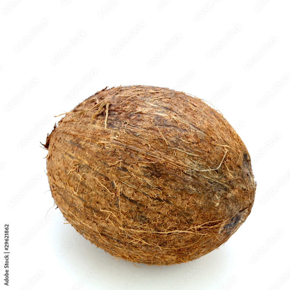 Whole Coconut Whole Coconut