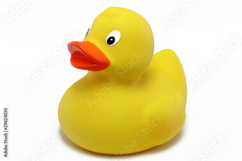 Obraz na plátně badeente
