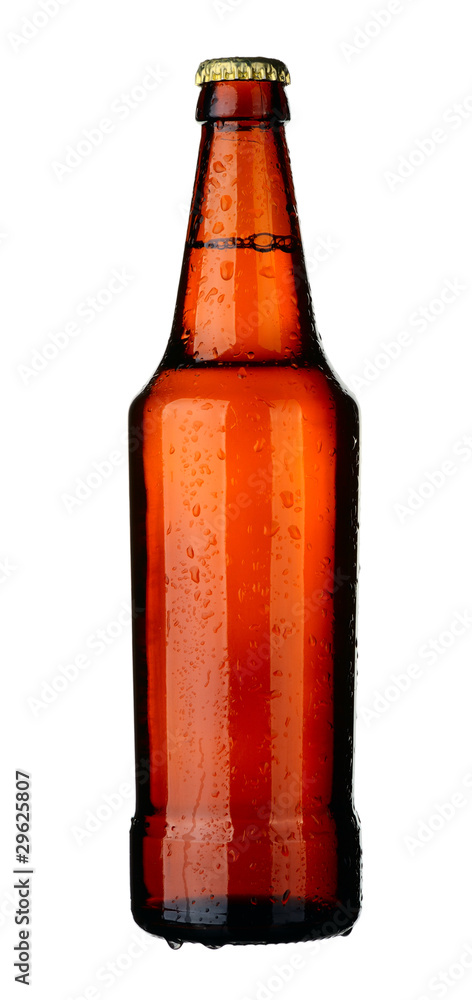 Bottle of beer