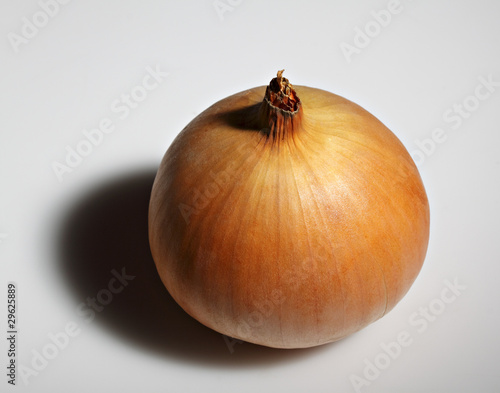 single onion in contrast light.