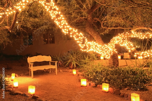 luminarias lead to bench beneath tree with Christmas lights