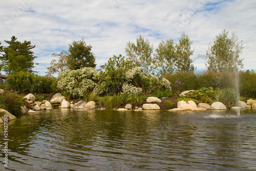 pond with trees
