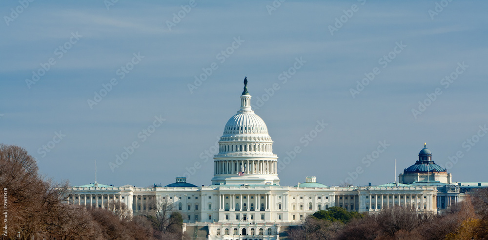 Fototapeta premium US Capitol Building Winter Washington DC USA