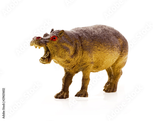 toy hippo, isolated
